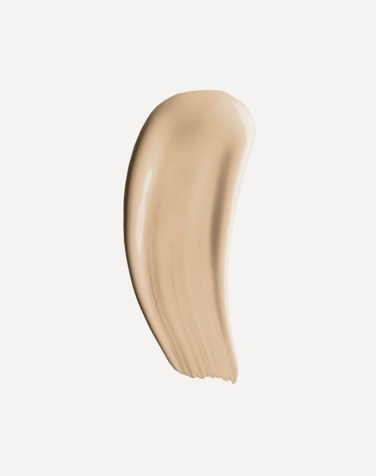  Shik Perfect Concealer 2